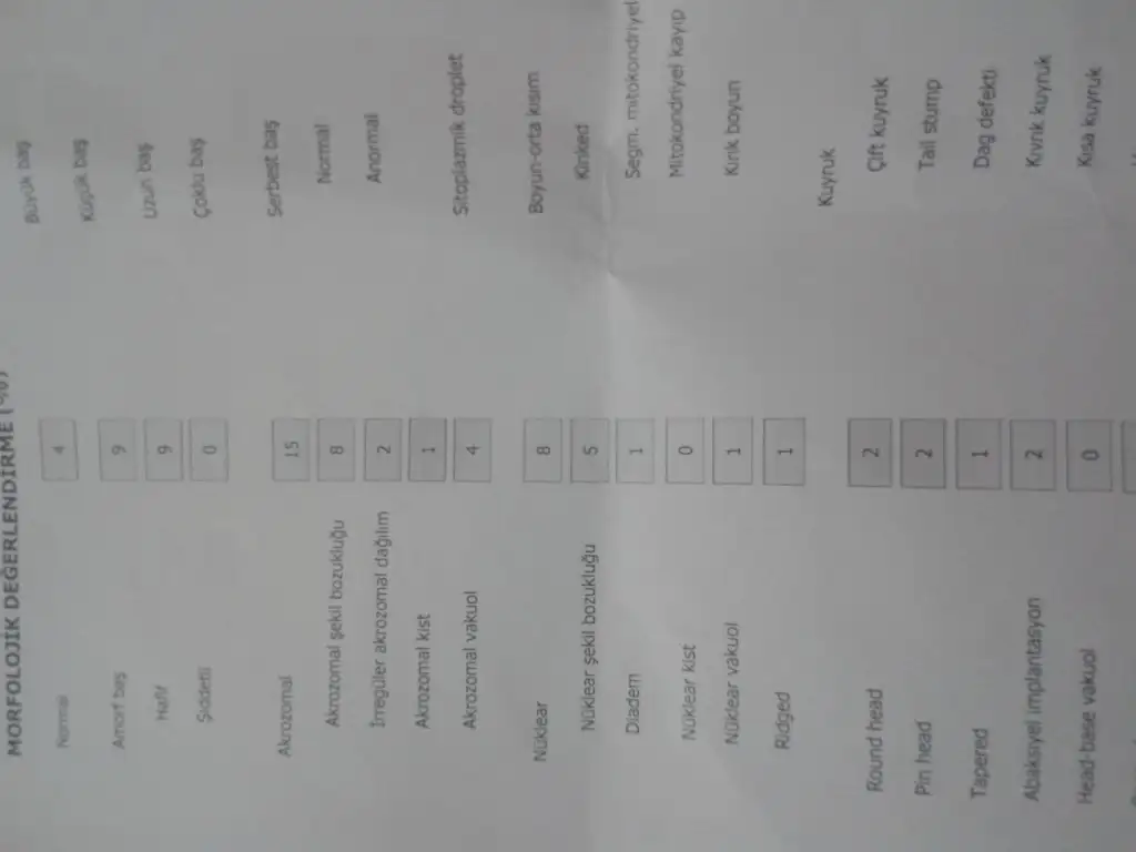 2015-01-27 00.00.59.webp