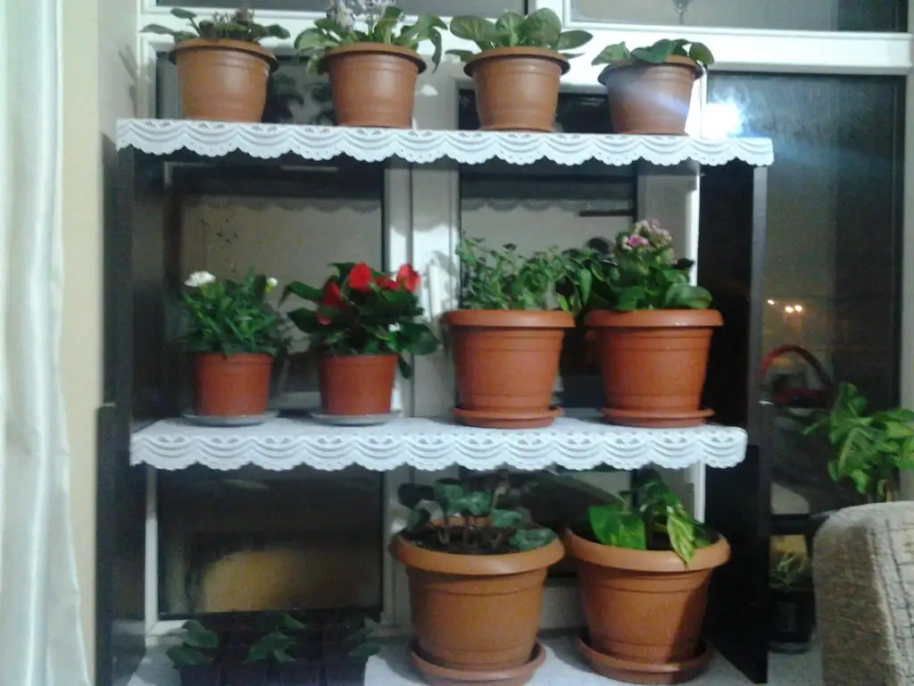 2015-02-13 00.01.03.webp