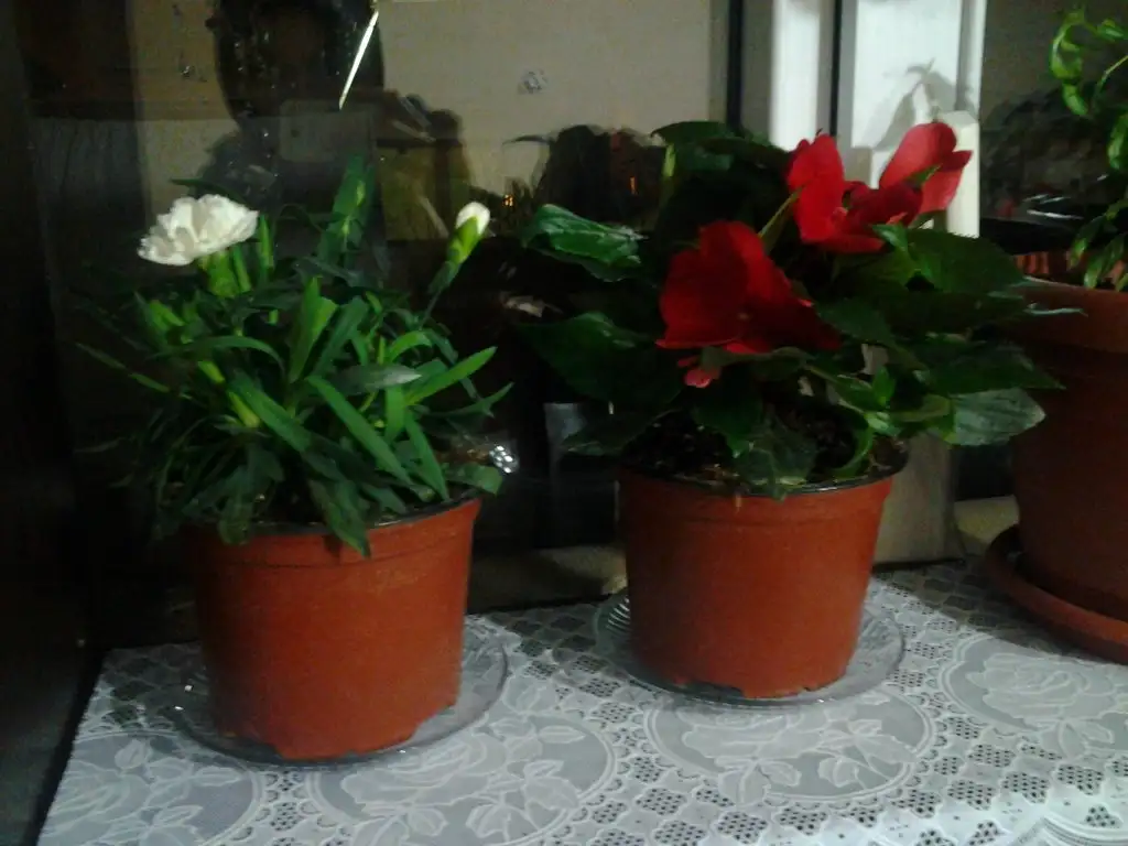 2015-02-13 00.01.51.webp