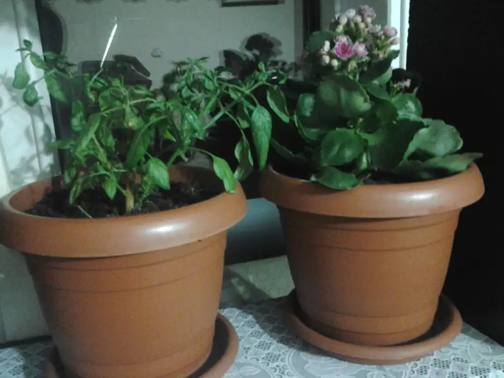 2015-02-13 00.02.09.webp