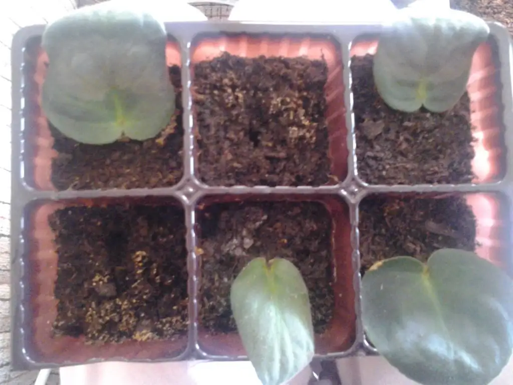 2015-03-04 15.40.26.webp