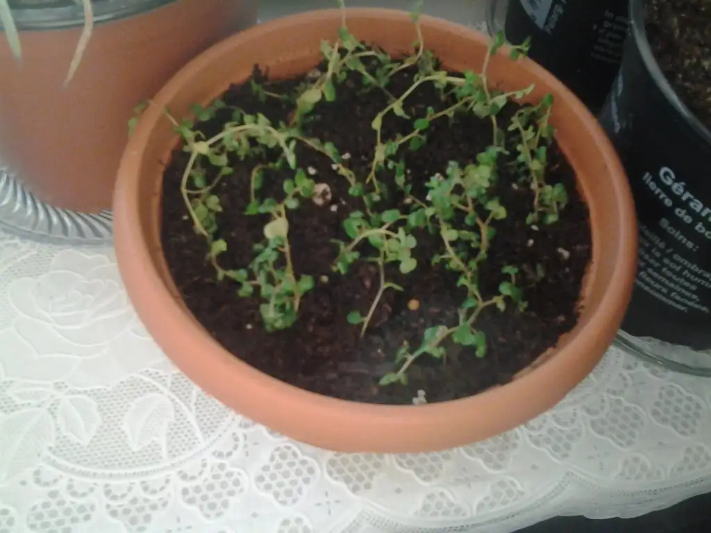 2015-03-04 17.07.05.webp