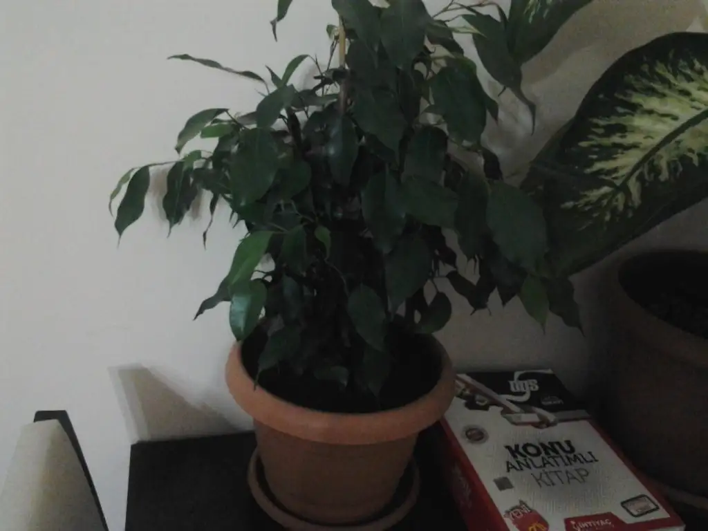 2015-03-08 19.12.31.webp