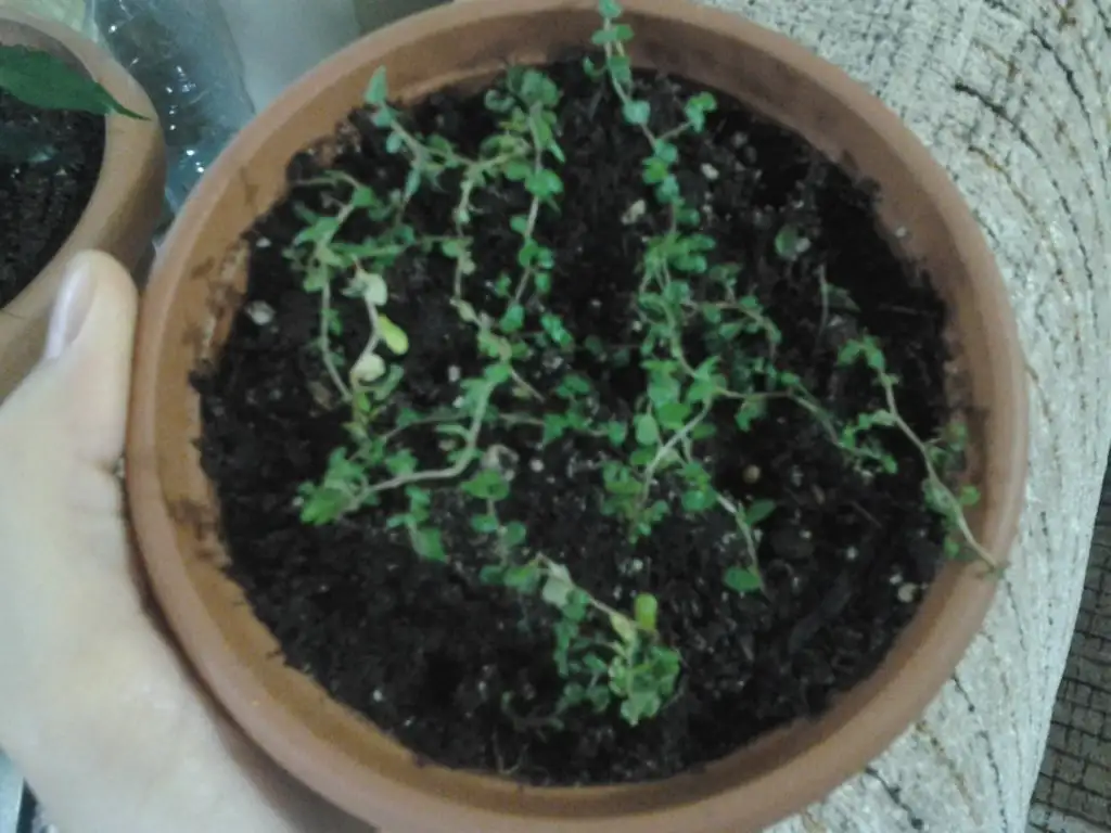 2015-03-12 16.47.01.webp