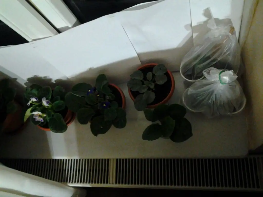 2015-03-18 20.47.51.webp