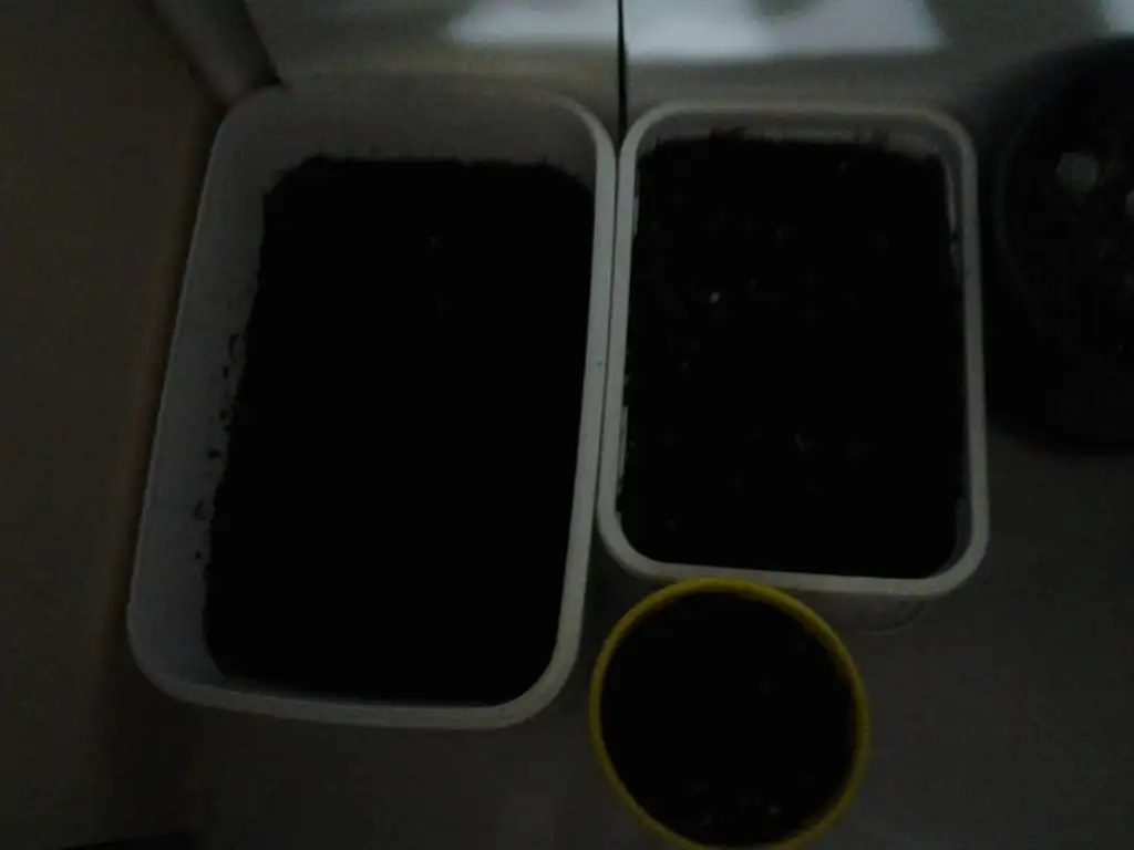 2015-03-18 20.48.14.webp