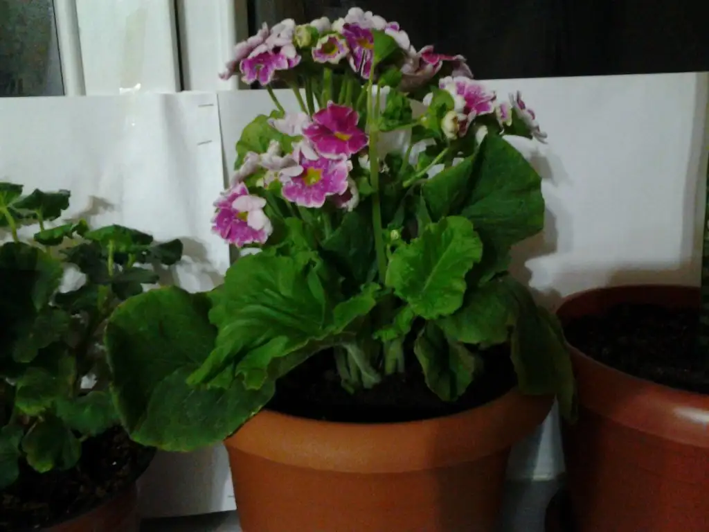 2015-03-18 20.49.07.webp