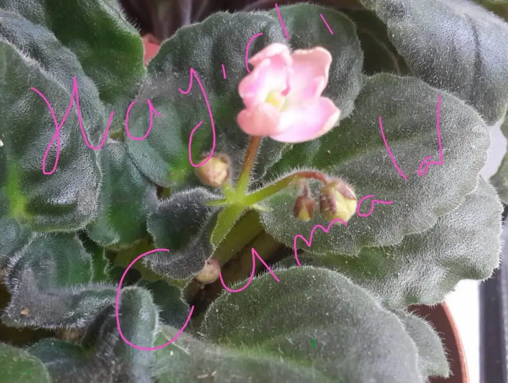 2015-03-27 08.31.04.webp