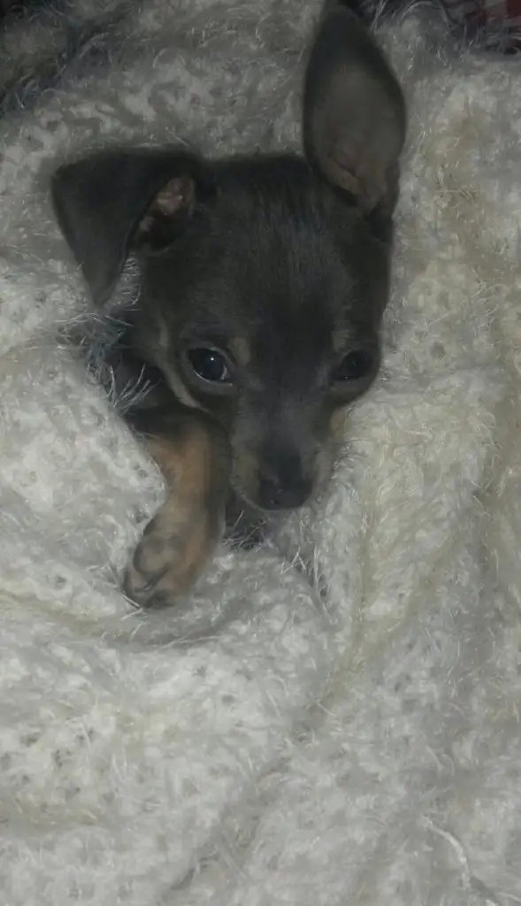 2015-04-27 00.31.33.webp