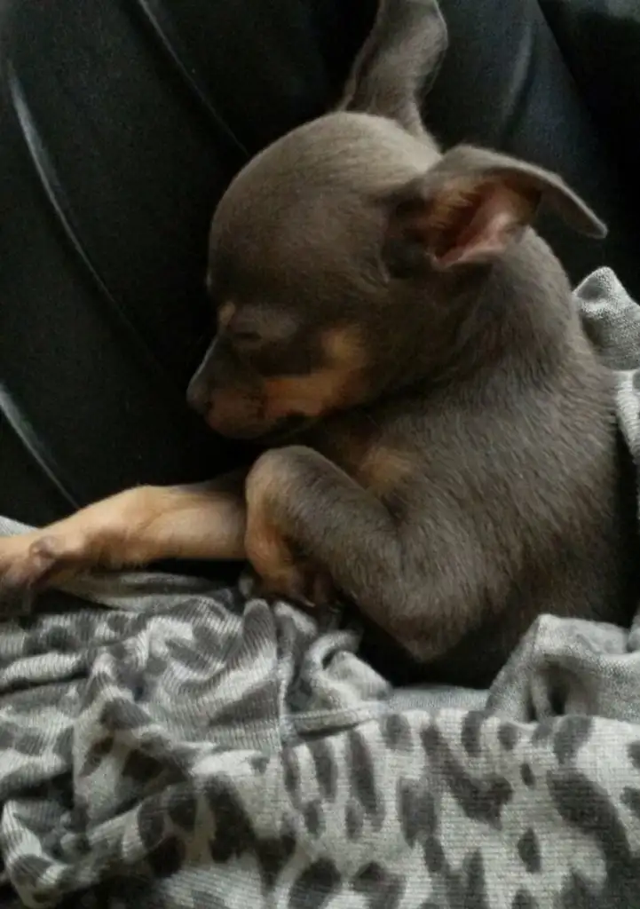 2015-04-27 00.43.59.webp