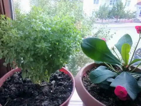 2015-06-22 17.57.00.webp