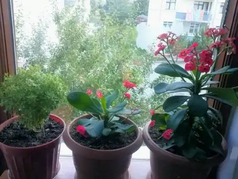 2015-06-22 17.57.47.webp