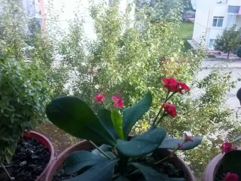 2015-06-22 17.58.31.webp