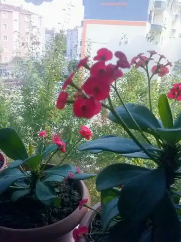 2015-06-22 17.59.12.webp