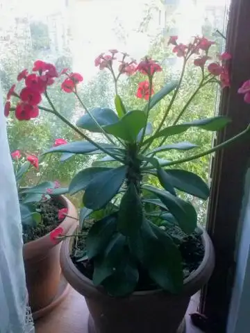 2015-06-22 18.00.05.webp