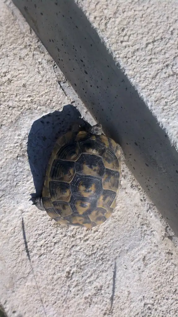 2015-07-14 16.28.01.webp