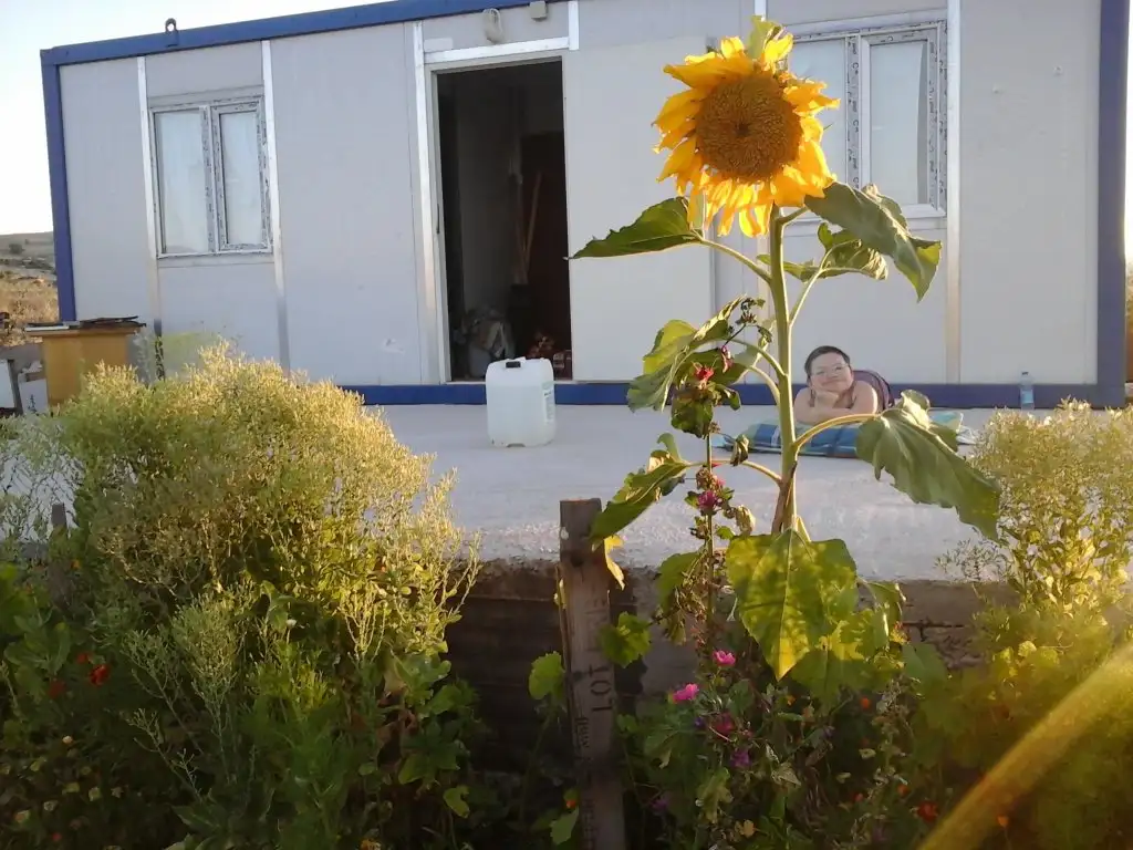2015-07-18 19.47.28.webp