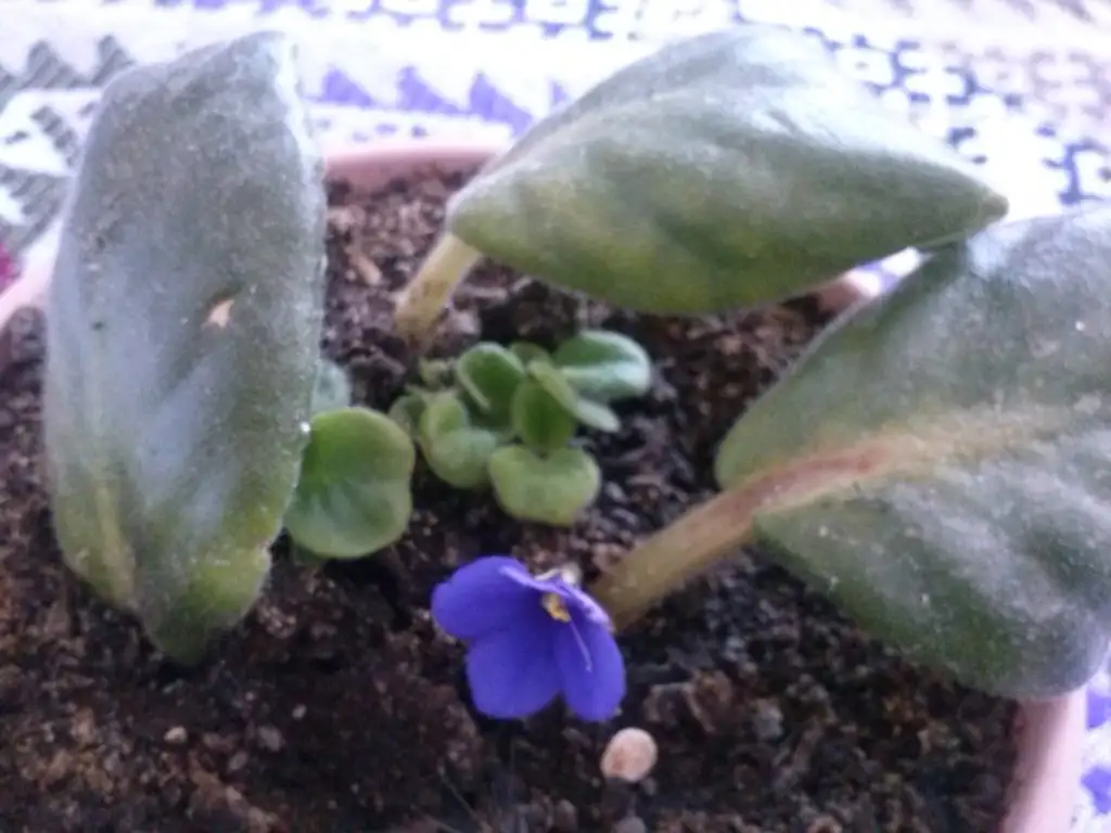 2015-08-15 13.15.59.webp