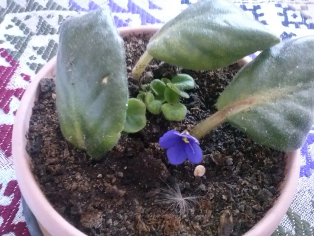 2015-08-15 13.16.11.webp