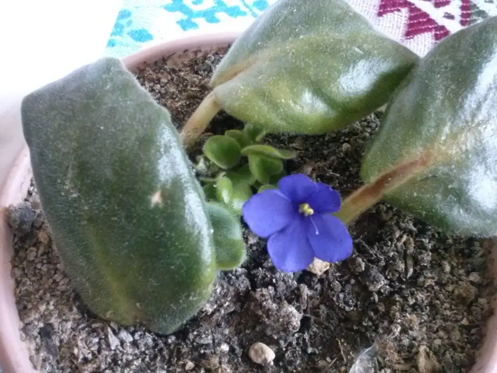 2015-08-18 17.48.54.webp