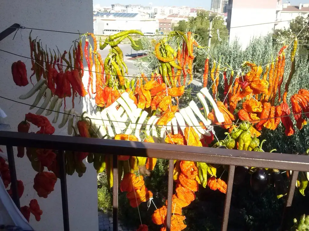 2015-09-03 17.11.23.webp