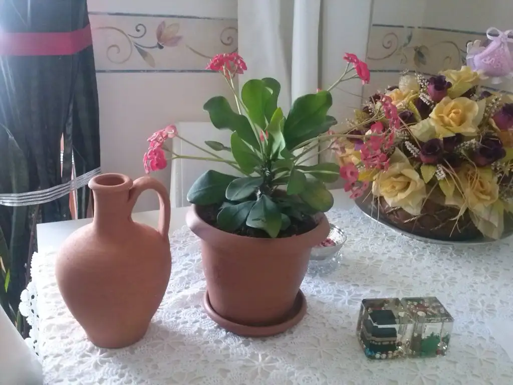 2015-09-05 14.21.09.webp