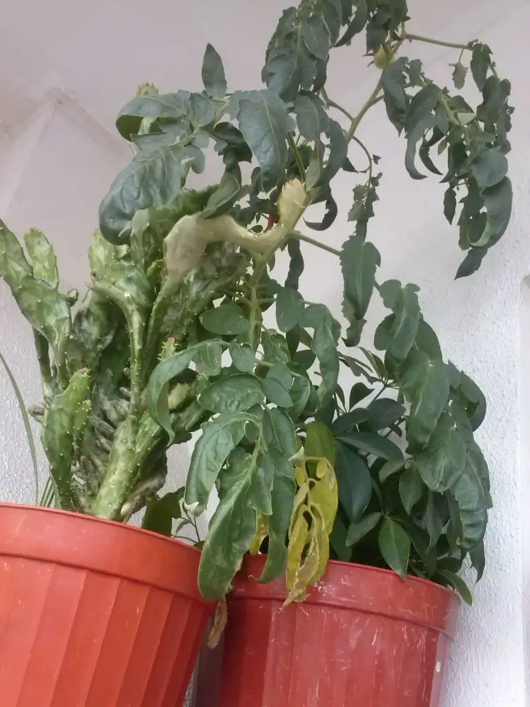 2015-10-08 12.01.48.webp