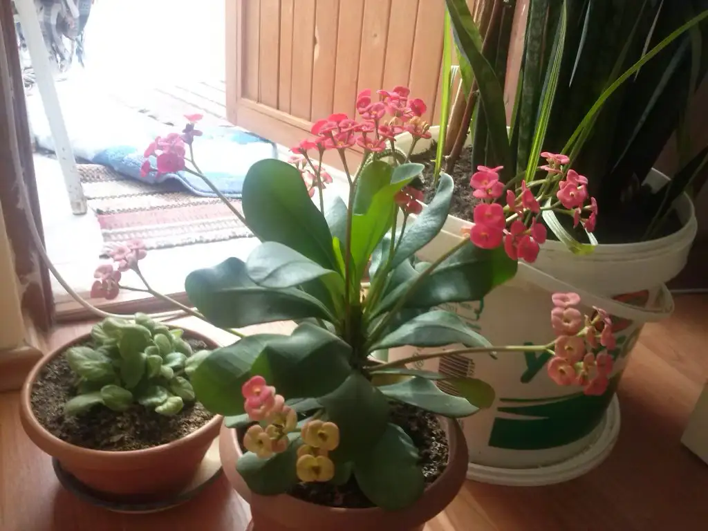 2015-10-14 13.17.29.webp