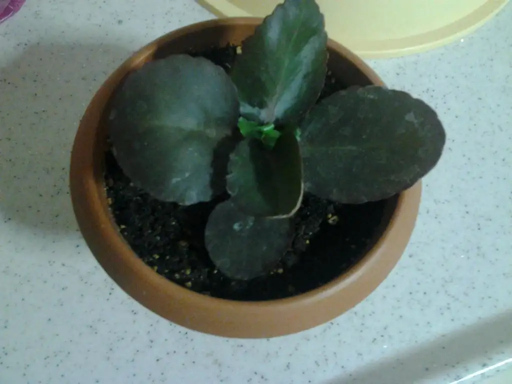 2015-10-15 21.25.20.webp