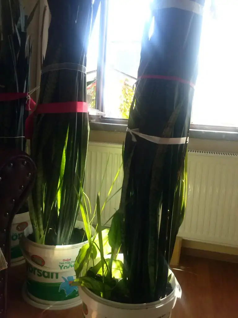 2015-10-16 14.31.58.webp