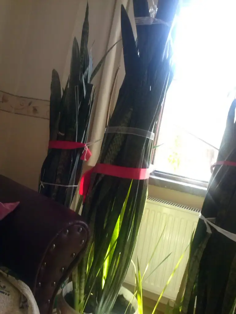 2015-10-16 14.32.03.webp