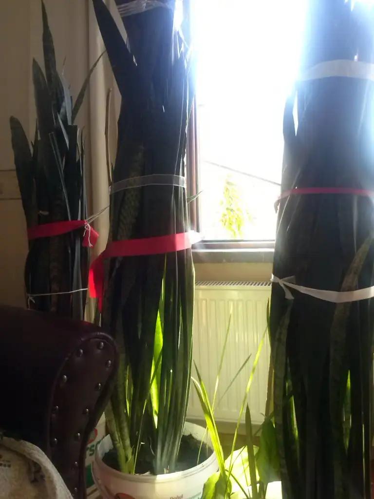 2015-10-16 14.32.12.webp