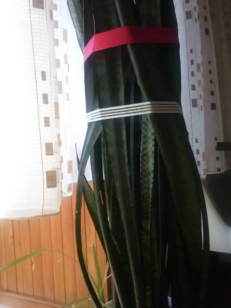 2015-10-16 14.32.26.webp