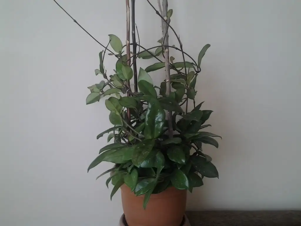 2015-10-17 10.29.11.webp