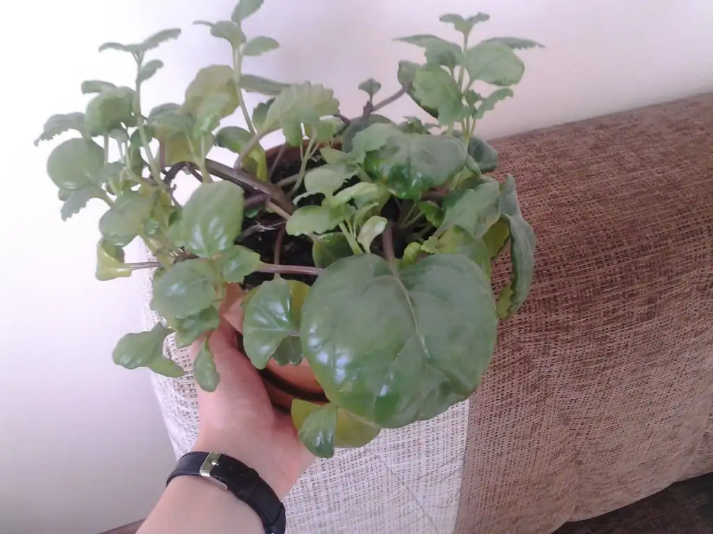 2015-10-17 10.30.47.webp