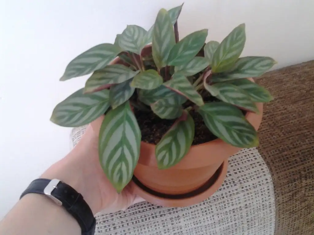 2015-10-17 10.31.13.webp