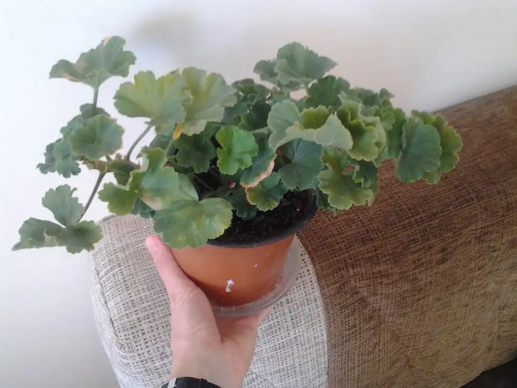 2015-10-17 10.31.47.webp