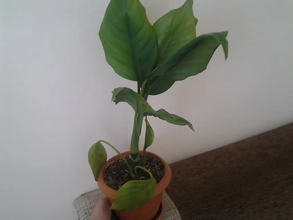 2015-10-17 10.32.16.webp