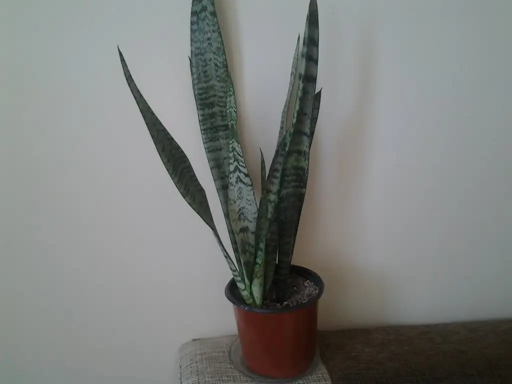 2015-10-17 10.32.47.webp