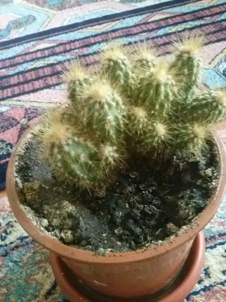 2015-11-16 13.45.44.webp