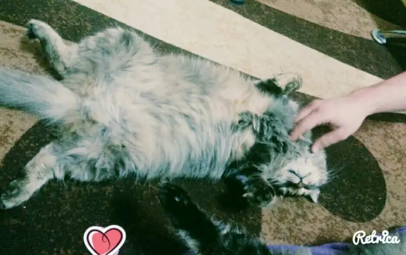 2015-12-31 22.25.12.webp