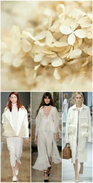 2015-2016-sonbahar-kış-renk-trendleri.webp