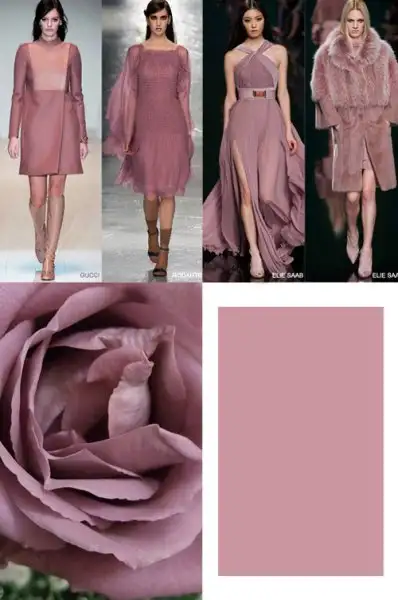 2015-sonbahar-kis-renk-trendleri-gul-kurusu.webp