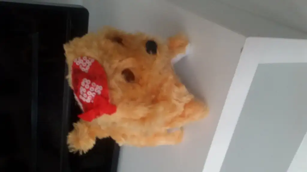 20150101_141458.webp