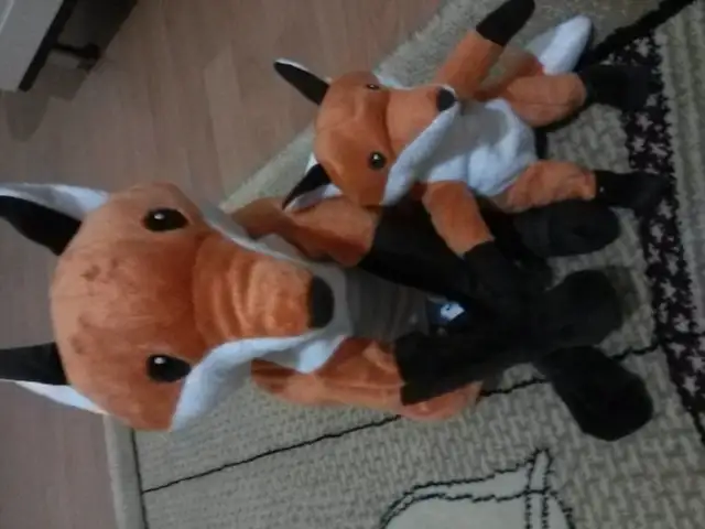 20150107_144945.webp