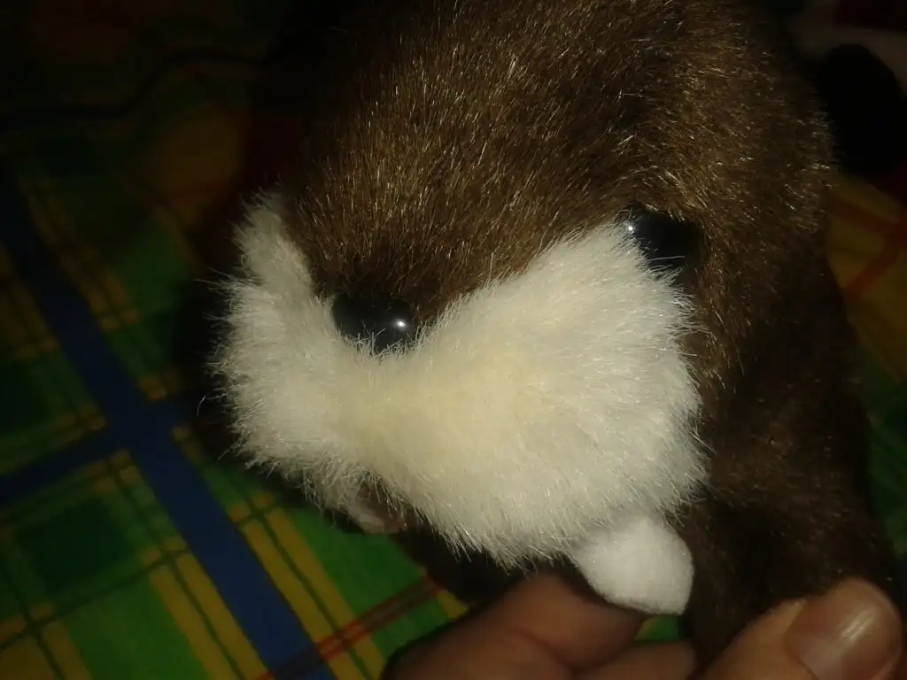 20150122_150304.webp