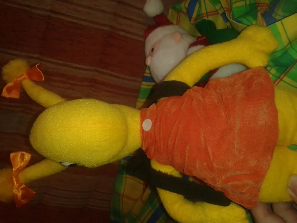 20150122_150419.webp