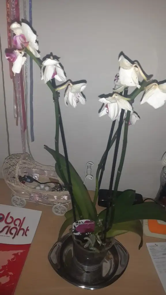 20150123_180720.webp