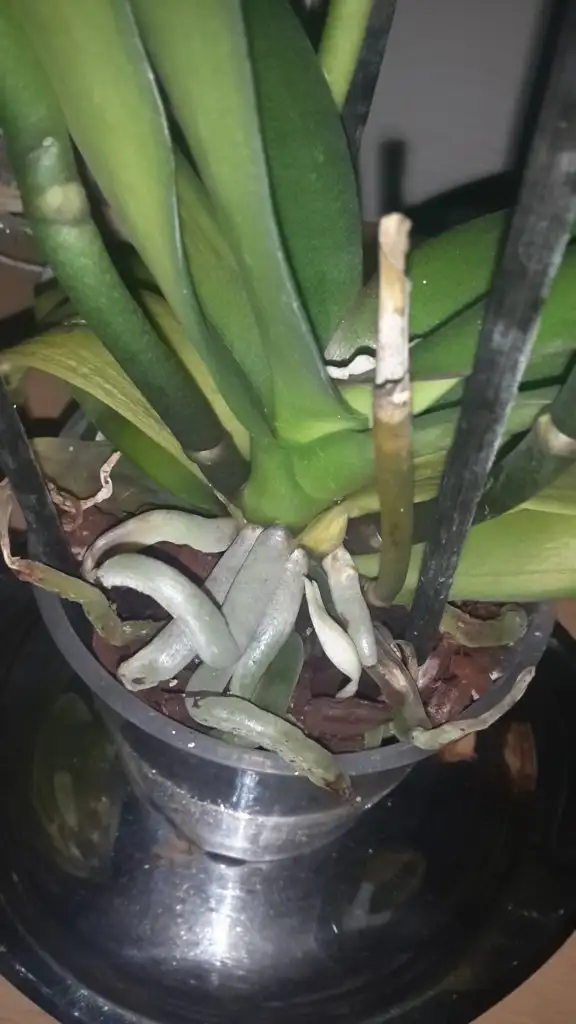 20150123_180734.webp