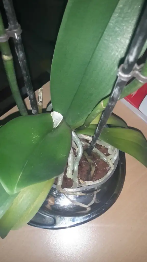 20150123_180746.webp